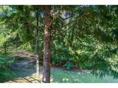 1604 Tara Court Kelso WA 98626