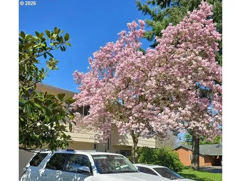 10508 NE 41st Street Vancouver WA 98682