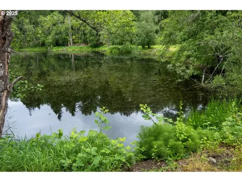 29394 NE Kelly Road Yacolt WA 98675