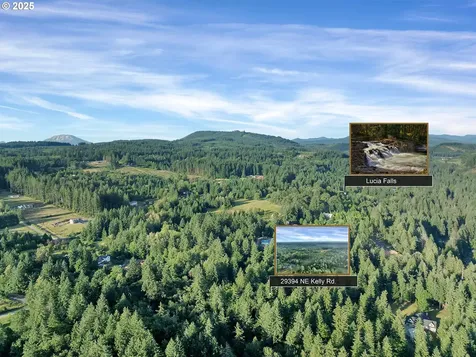 29394 NE Kelly Road Yacolt WA 98675