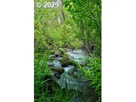 50000 Highway 62 Prospect OR 97536