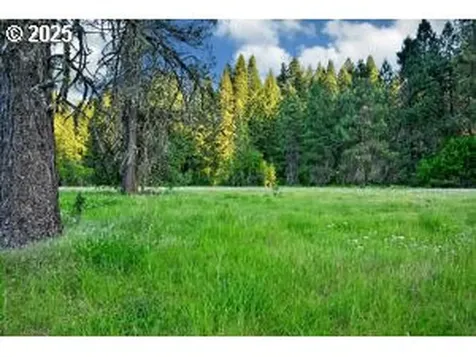 50000 Highway 62 Prospect OR 97536