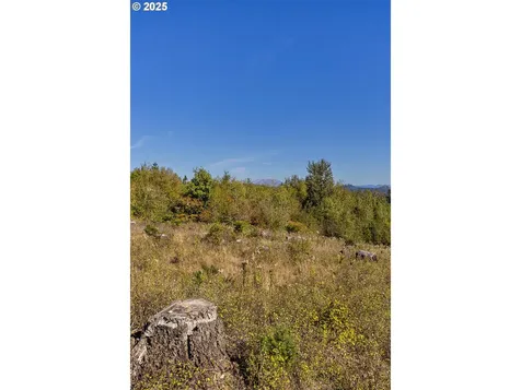 31807 NE 122nd Avenue Battle Ground WA 98604