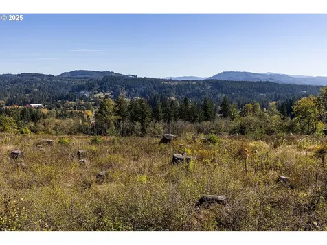 31807 NE 122nd Avenue Battle Ground WA 98604