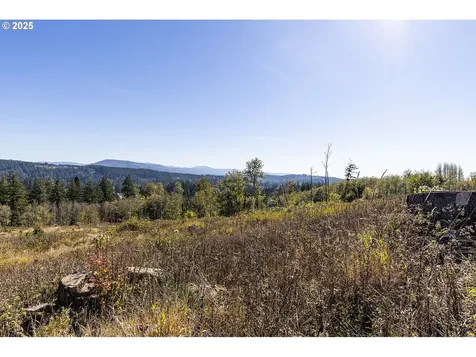 31807 NE 122nd Avenue Battle Ground WA 98604