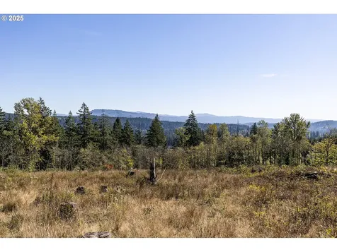 31807 NE 122nd Avenue Battle Ground WA 98604