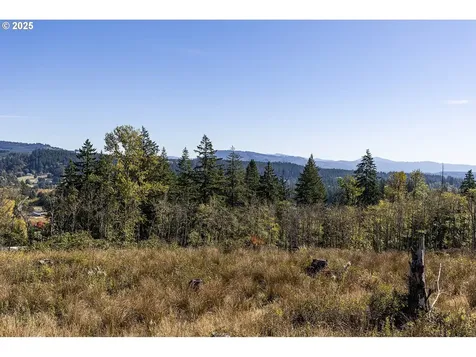 31807 NE 122nd Avenue Battle Ground WA 98604