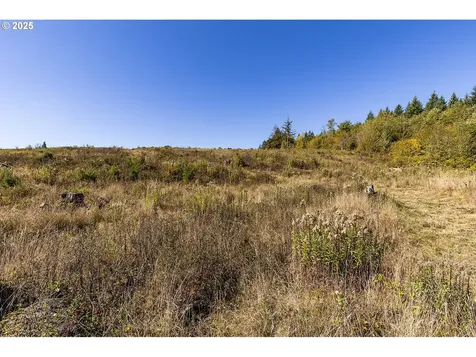 31807 NE 122nd Avenue Battle Ground WA 98604