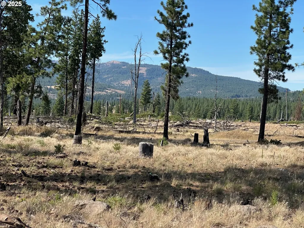 000 Lee Road Goldendale WA 98620