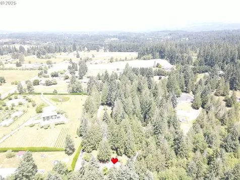 14413 NE 214th Avenue Brush Prairie WA 98606