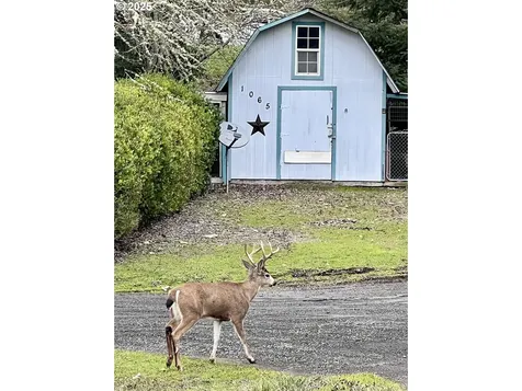 1065 Greenley Street Roseburg OR 97471