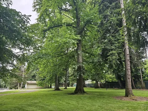 411 Oak Street Woodburn OR 97071