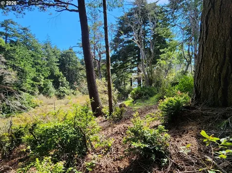 92504 Paradise Point Road Port Orford OR 97465