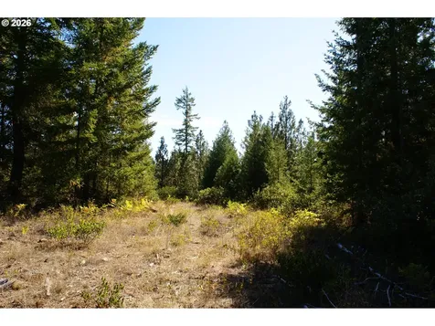 Cedar Valley Road Goldendale WA 98620