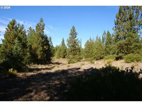 Cedar Valley Road Goldendale WA 98620