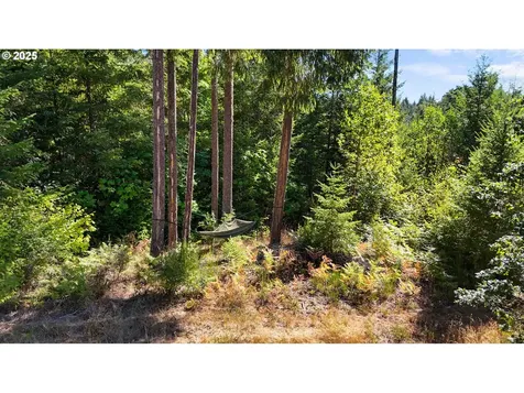 55778 SW Scoggins Valley Road Gaston OR 97119