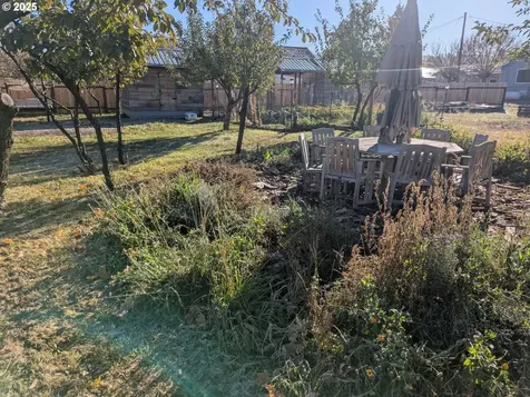 203 N Alder Street Wallowa OR 97885