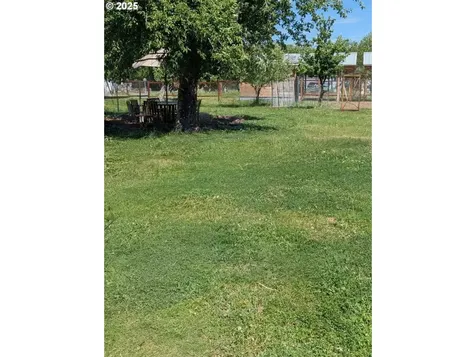 203 N Alder Street Wallowa OR 97885