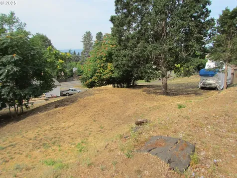 Lot Off Vine Street White Salmon WA 98672