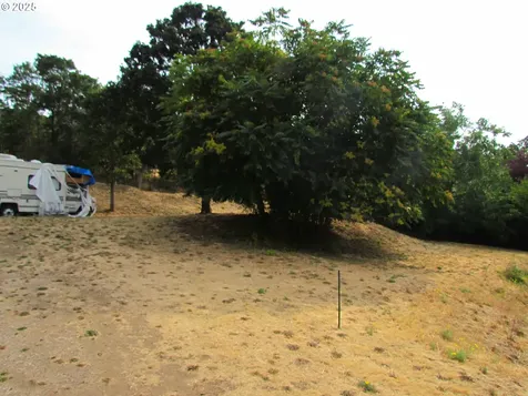 Lot Off Vine Street White Salmon WA 98672
