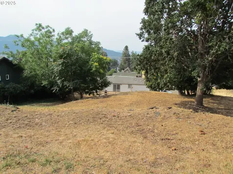 Lot Off Vine Street White Salmon WA 98672