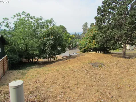 Lot Off Vine Street White Salmon WA 98672