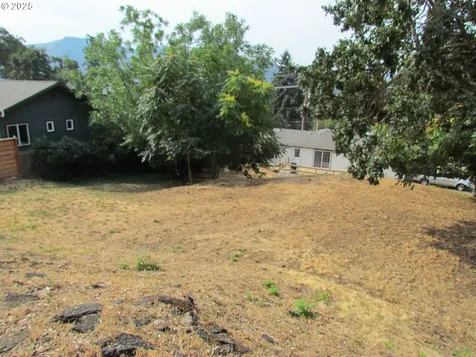 Lot Off Vine Street White Salmon WA 98672