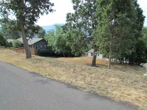 Lot Off Vine Street White Salmon WA 98672