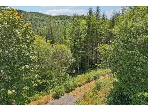 172 Mohawk Lane Amboy WA 98601