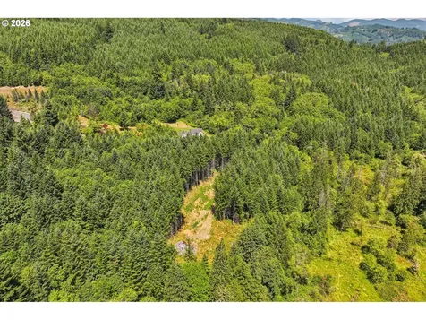 172 Mohawk Lane Amboy WA 98601