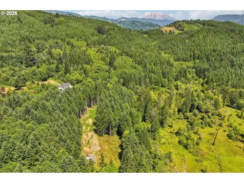172 Mohawk Lane Amboy WA 98601