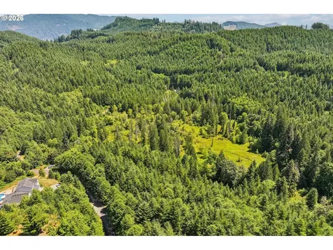 172 Mohawk Lane Amboy WA 98601