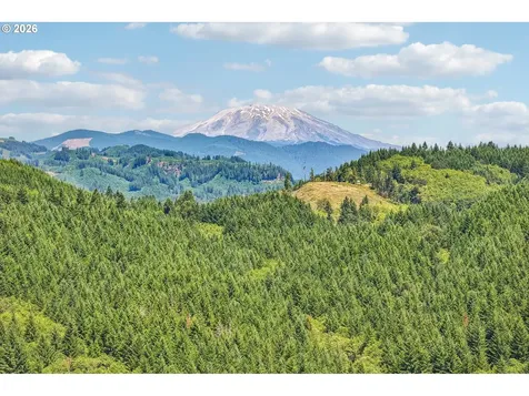 172 Mohawk Lane Amboy WA 98601