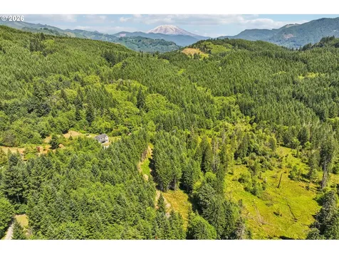 172 Mohawk Lane Amboy WA 98601