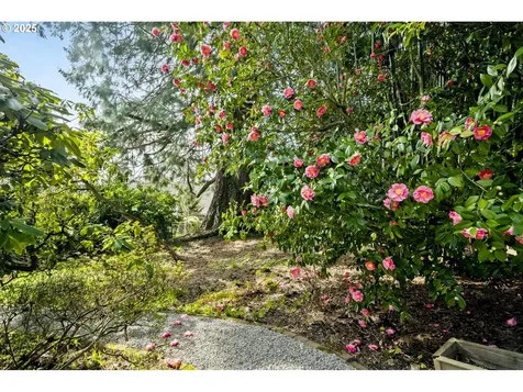 3165 SW 82nd Avenue Portland OR 97225