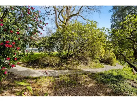 3165 SW 82nd Avenue Portland OR 97225