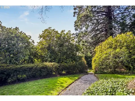 3165 SW 82nd Avenue Portland OR 97225