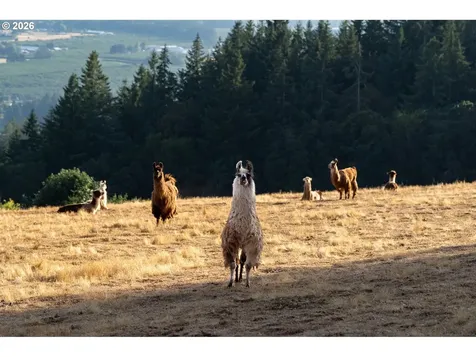 27200 NE Mountain Top Road Newberg OR 97132
