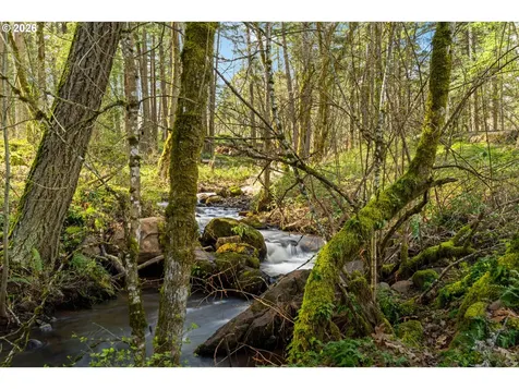 445 Country Club Road Hood River OR 97031