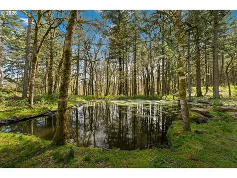 445 Country Club Road Hood River OR 97031
