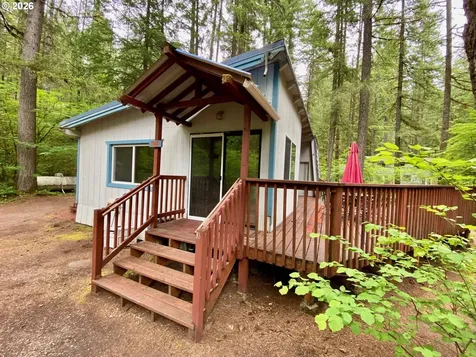 Cabin 99 Northwoods Cougar WA 98616