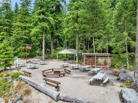 Cabin 99 Northwoods Cougar WA 98616