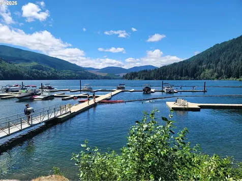 Cabin 99 Northwoods Cougar WA 98616