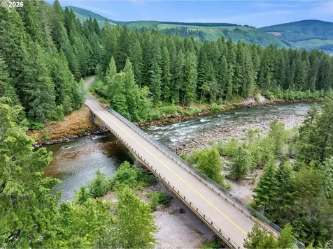 Cabin 99 Northwoods Cougar WA 98616