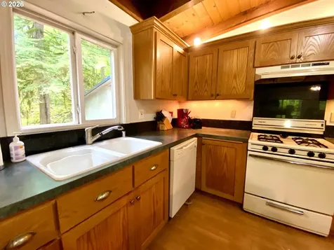 Cabin 99 Northwoods Cougar WA 98616