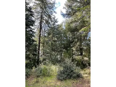 69376 Wildwood Road North Bend OR 97459