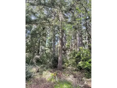 69376 Wildwood Road North Bend OR 97459
