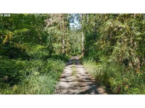64281 E Brightwood Loop Road Brightwood OR 97011