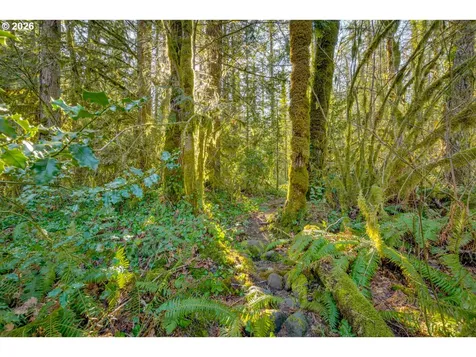 64281 E Brightwood Loop Road Brightwood OR 97011