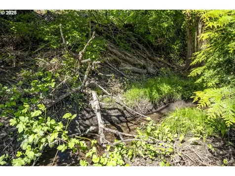 4983 Bilford Lane Lake Oswego OR 97035